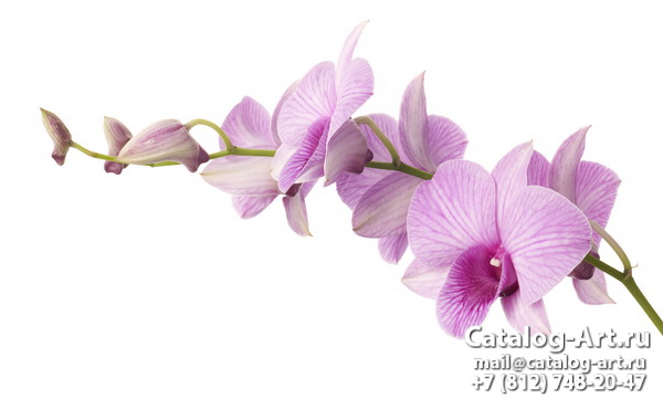 Натяжные потолки с фотопечатью - Розовые орхидеи 24